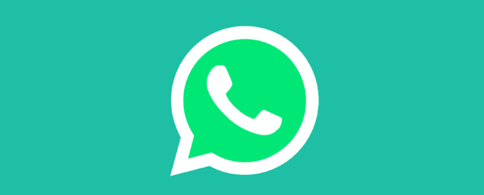 GB WhatsApp App Download
