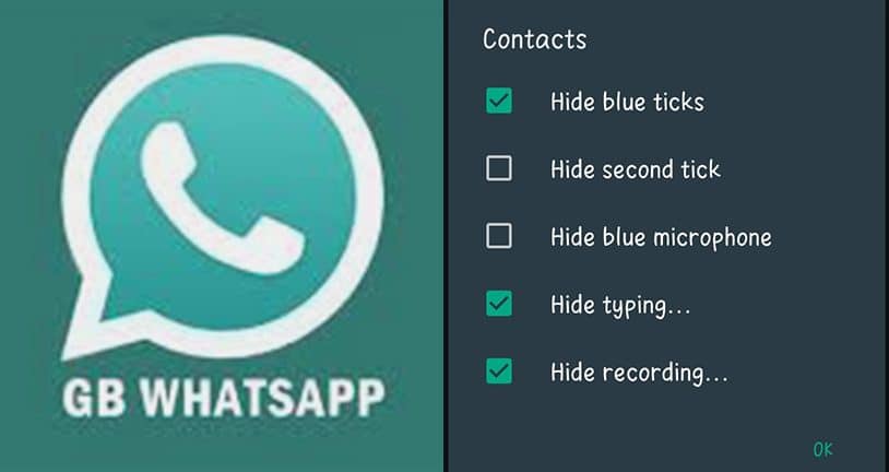 GB WhatsApp App Download
