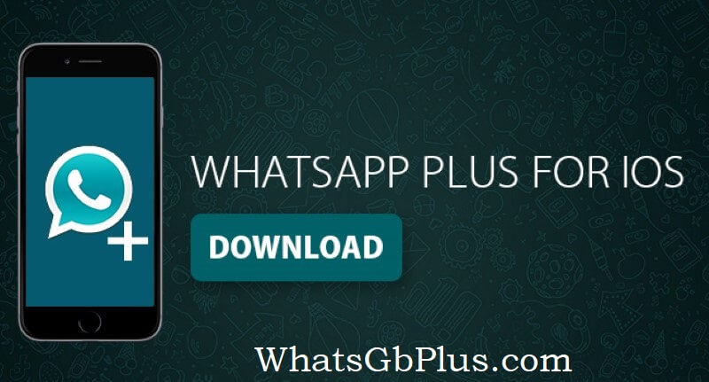 GB WhatsApp New Version Download 7 81
